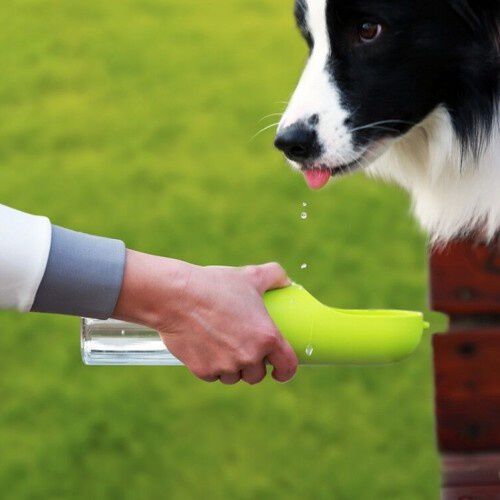 Petkit dispensador de agua port&aacute;til para perros, , large Imagen numero 4