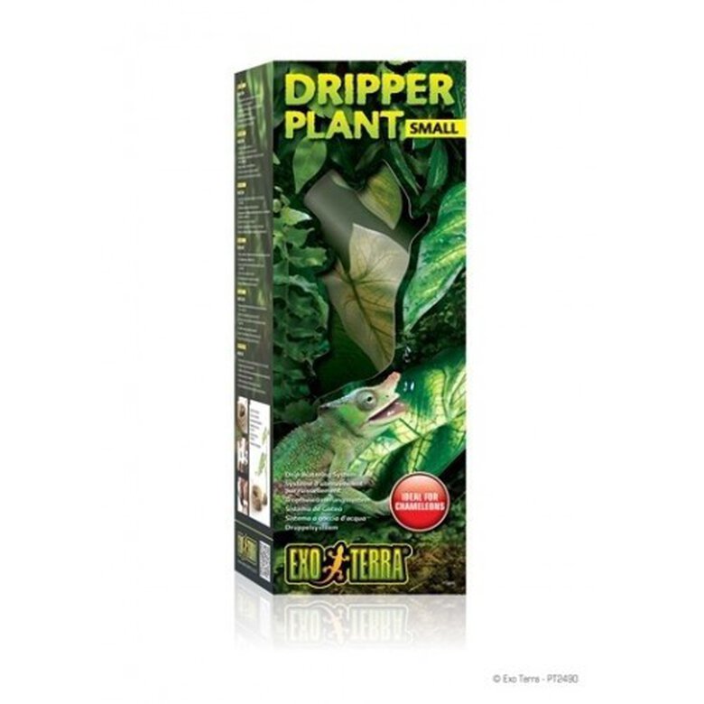 Planta para terrario, , large image number null