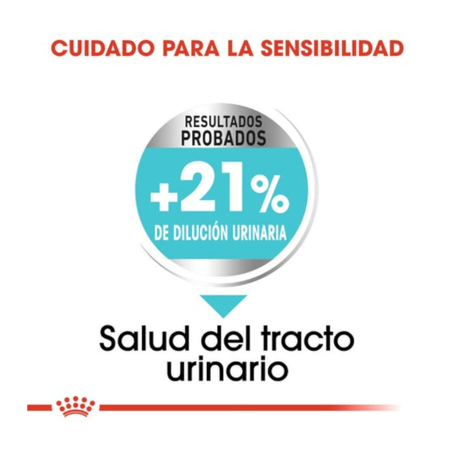 Royal Canin Urinary Care Mini pienso para perros thumbnail