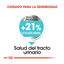 Royal Canin Urinary Care Mini pienso para perros, , large indicador imagen numero 4