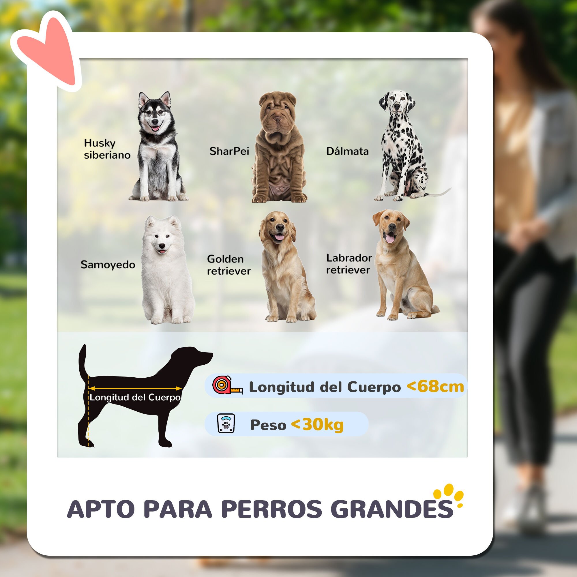 PawHut Carrito para Perros Plegable Cochecito para Perros Grandes hasta 30 kg con Ruedas Grandes Correas de Seguridad Marco Amortiguador Coj&iacute;n Lavable 124x67x100 cm, Gris Oscuro, , large Imagen numero 4