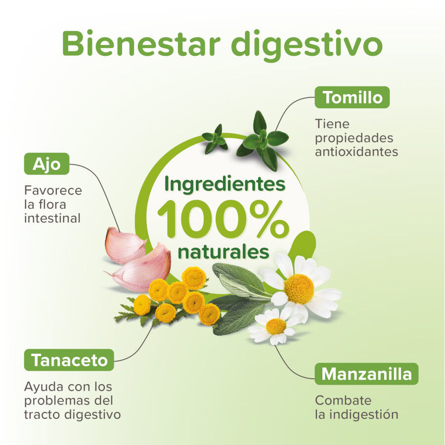 Beaphar VERMIpure Repelente Interno Natural L&iacute;quido para perros y cachorros, , large Imagen numero 3