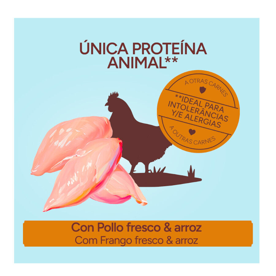 10 kg Criadores Monoproteico Light -40% contenido graso Adulto con Pollo pienso para perros, , large Imagen numero 3
