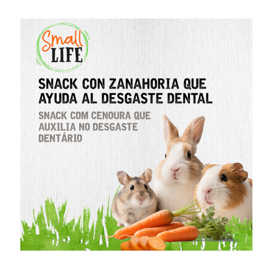 100 g Small Life Rollo de Heno con Zanahoria Snack para roedores y conejos, , large Imagen numero 3
