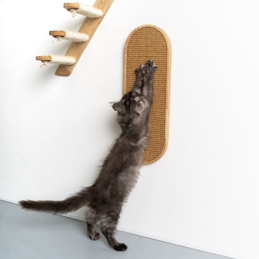 Muro Escalada Para Gatos - Tablero de Rascado de Luxe (Rubberwood Khaki), , large Imagen numero 4
