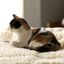 HuggleHounds cama lana blanca para mascotas, , large indicador imagen numero 7