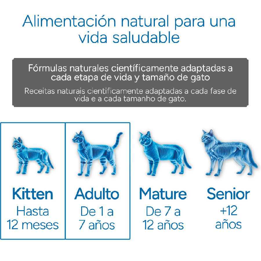 Criadores Cient&iacute;fico Mother&BabyCat pollo pienso para gatos, , large Imagen numero 12