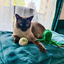 Pelota para gato de fieltro de lana natural Bambou-Ball, , large indicador imagen numero 2