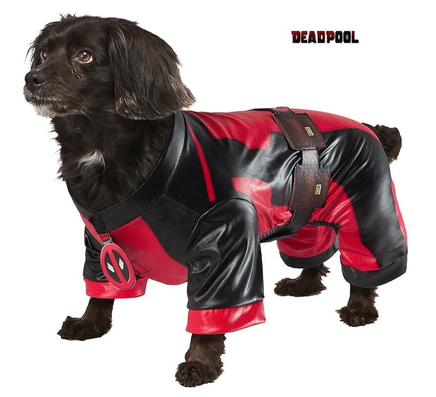 Disfraz de Dogpool cl&aacute;sico de Deadpool con cintur&oacute;n para perro, , large Imagen numero 1