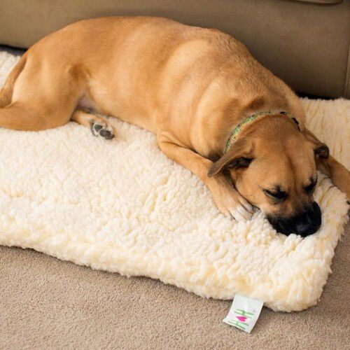HuggleHounds cama lana blanca para mascotas, , large Imagen numero 4