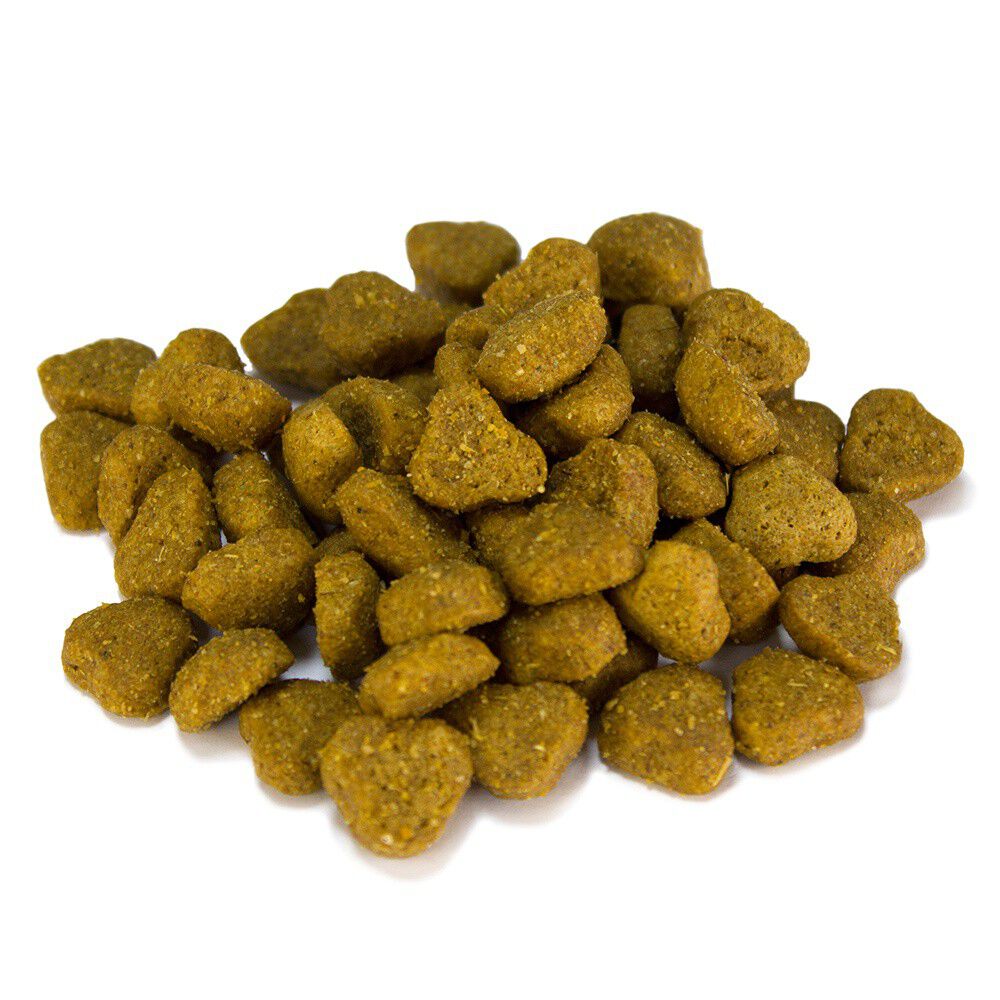 Pienso Dog Adult Arquivet sabor Arroz y Cordero, , large Imagen numero 3