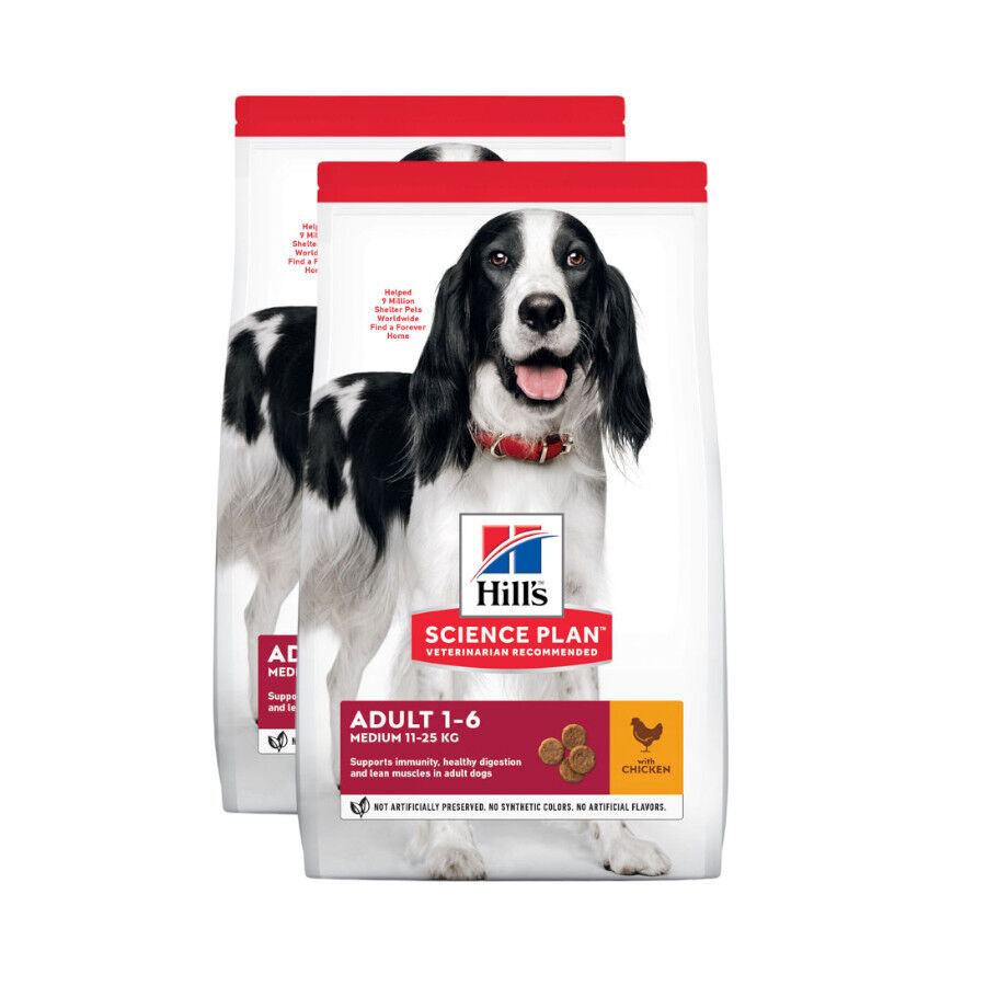 Hill's Science Plan Adult Medium Pollo pienso para perros