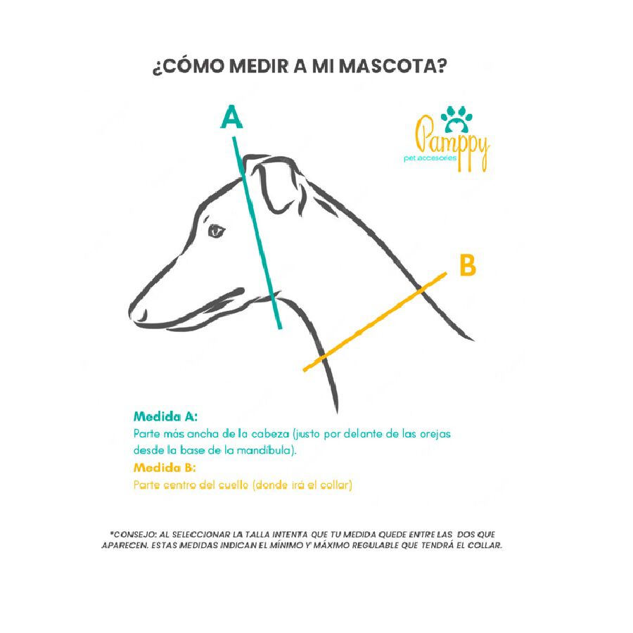 Pamppy galgo speedy pixel collar regulable multicolor para perros, , large Imagen numero 4