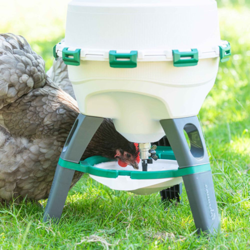 FINCA CASAREJO Bebedero Sif&oacute;nico para Aves (25L) - Bebedero con Patas para Gallinas de Pl&aacute;stico Resistente - F&aacute;cil Recarga - Cierre Seguro y Herm&eacute;tico, , large Imagen numero 2