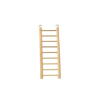 Beaks Escalera de Madera Beige para pájaros