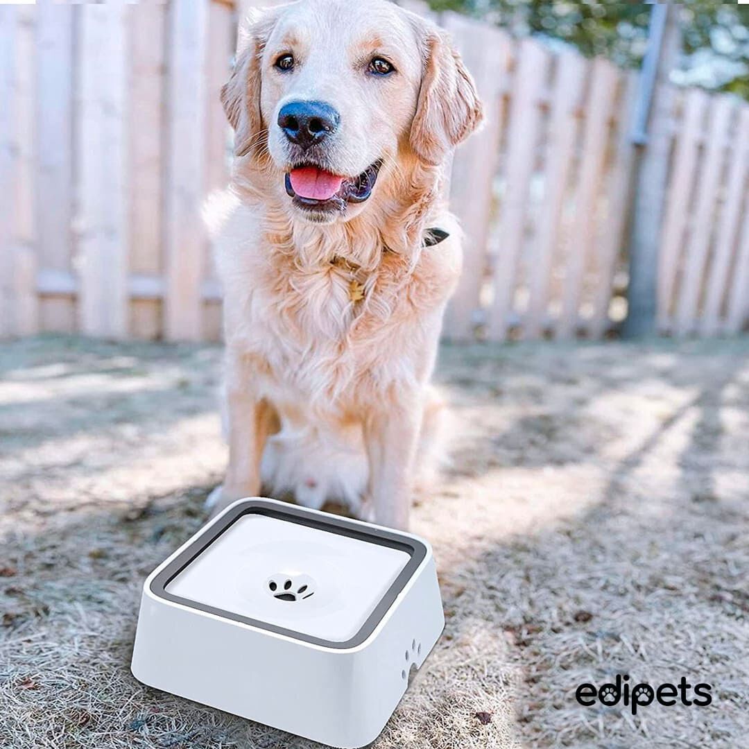 Edipets bebedero flotante antisalpicaduras y antideslizante blanco para perros, , large Imagen numero 5