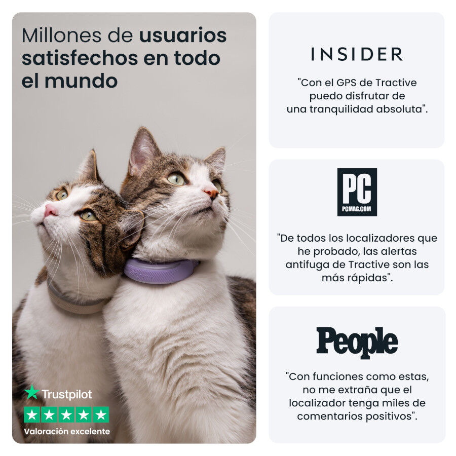 Tractive Cat 6 Mini Lavanda GPS para gatos, , large Imagen numero 9