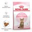 3.5 kg Royal Canin Kitten Sterilised pienso para gatos, , large indicador imagen numero 2