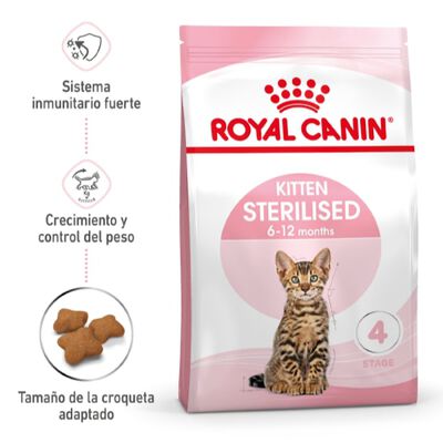 Royal Canin Kitten Sterilised pienso para gatos