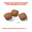 10 kg Royal Canin Joint Care Maxi pienso para perros, , large indicador imagen numero 4