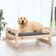 Cama Para Perros, , large indicador imagen numero 11