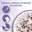 Beaphar Calming Collar Relajante para perros3 indicador imagen numero 3