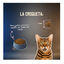 5 Kg Lenda Grain Free Light Conejo y Cerdo pienso para gatos, , large indicador imagen numero 6