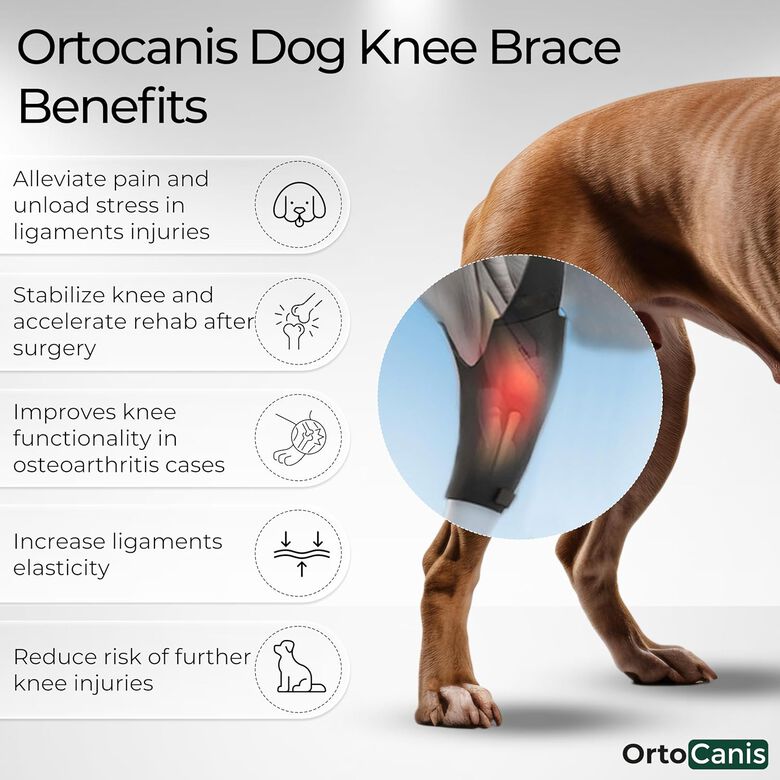Ortocanis Protector de rodilla Izquierda para perros thumbnail