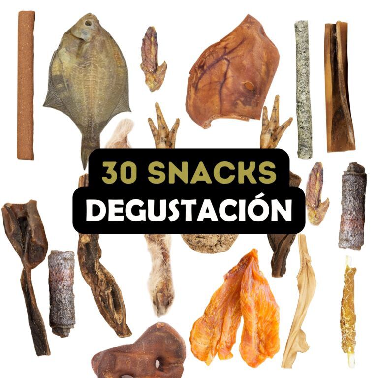 BIMORDISCOS Pack Degustaci&oacute;n Mensual: 30 Snacks Para Perros, , large Imagen numero 2