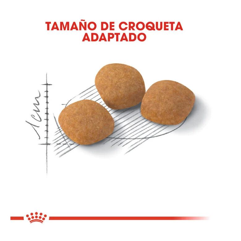 Royal Canin Adult Exigent Protein pienso para gatos thumbnail