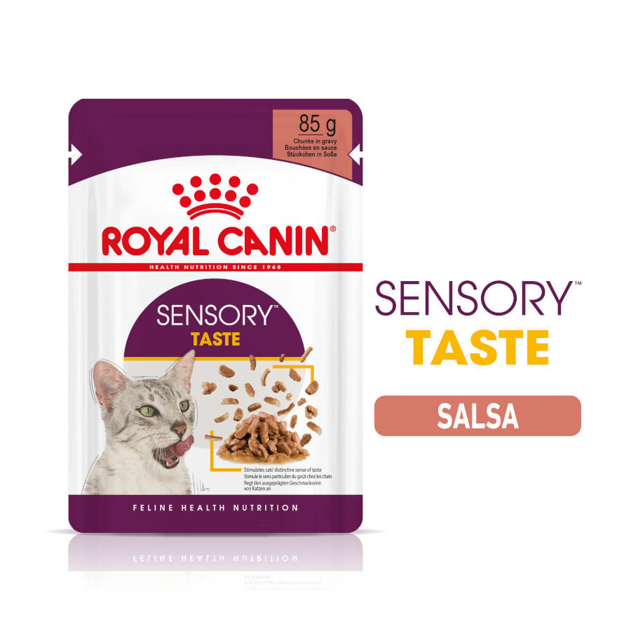 Royal Canin Adult Sensory Taste salsa sobre para gatos thumbnail