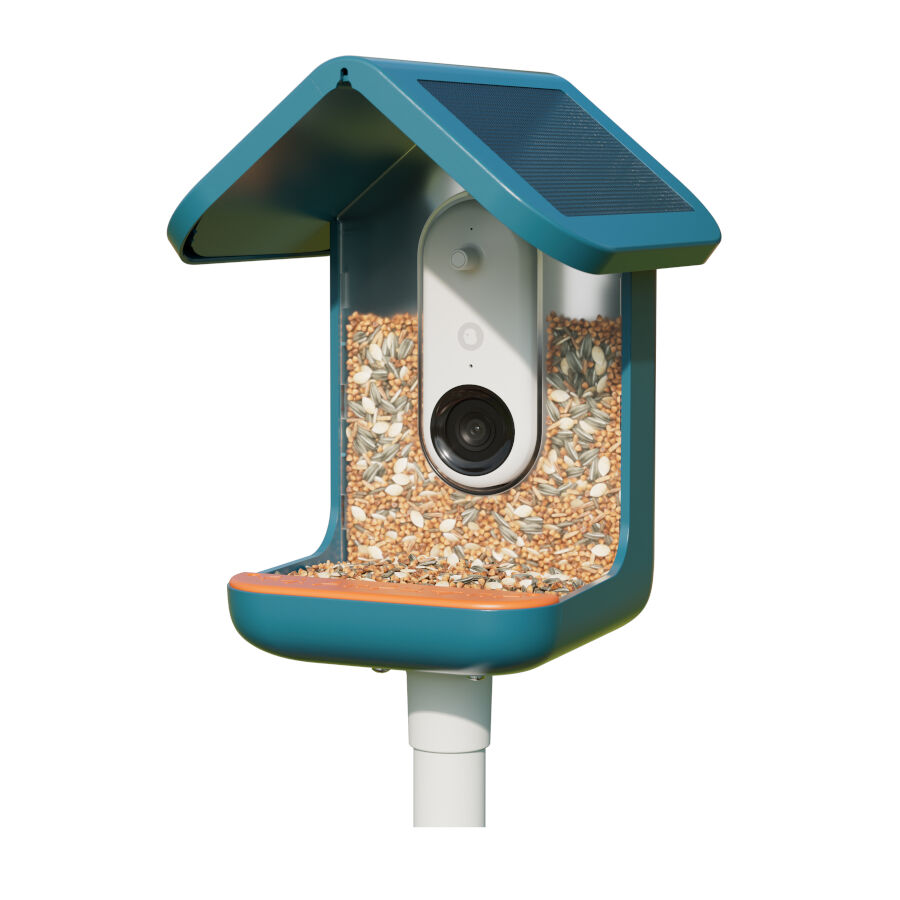 Birdbuddy Comedero Inteligente con C&aacute;mara para p&aacute;jaros, , large Imagen numero 3