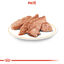 85 g Royal Canin Adult Poodle Paté sobre para perros, , large indicador imagen numero 2