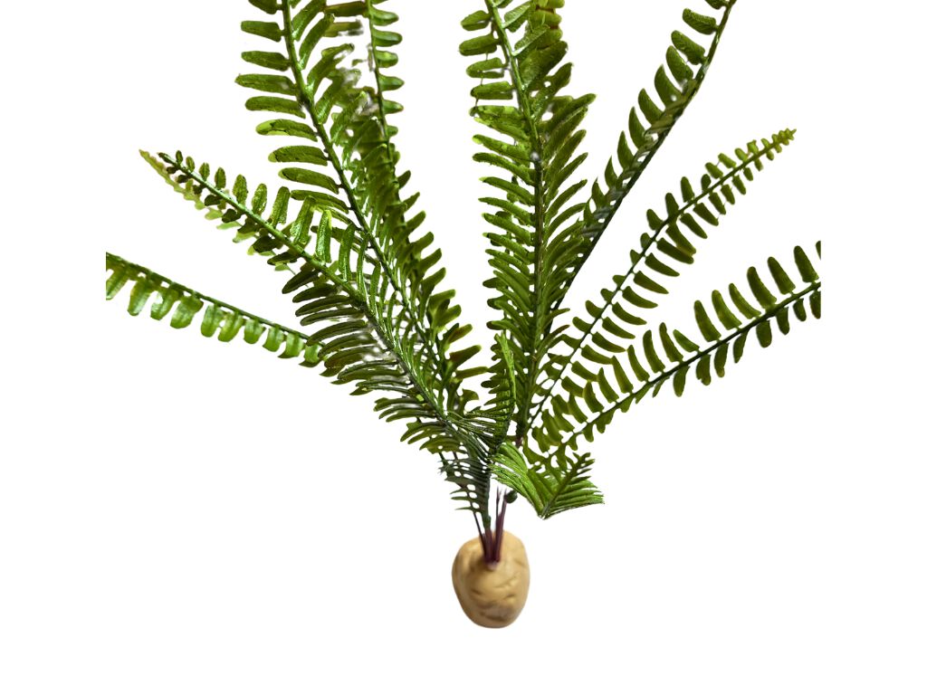 Reptilhábitat Planta Helecho De Decoración Para Terrarios thumbnail