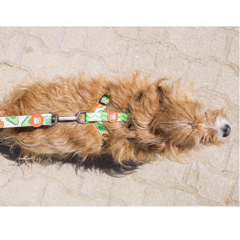Dukier Arnés Clásico Estampado Aguacate para perros, , large image number null