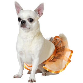 Atosa Disfraz Tutú naranja para perros