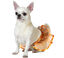 Disfraz o Tutú naranja para perro, , large indicador imagen numero 1