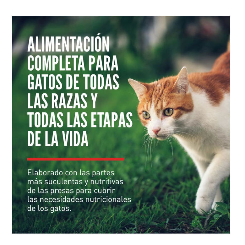 Orijen Original pienso para gatos y gatitos thumbnail