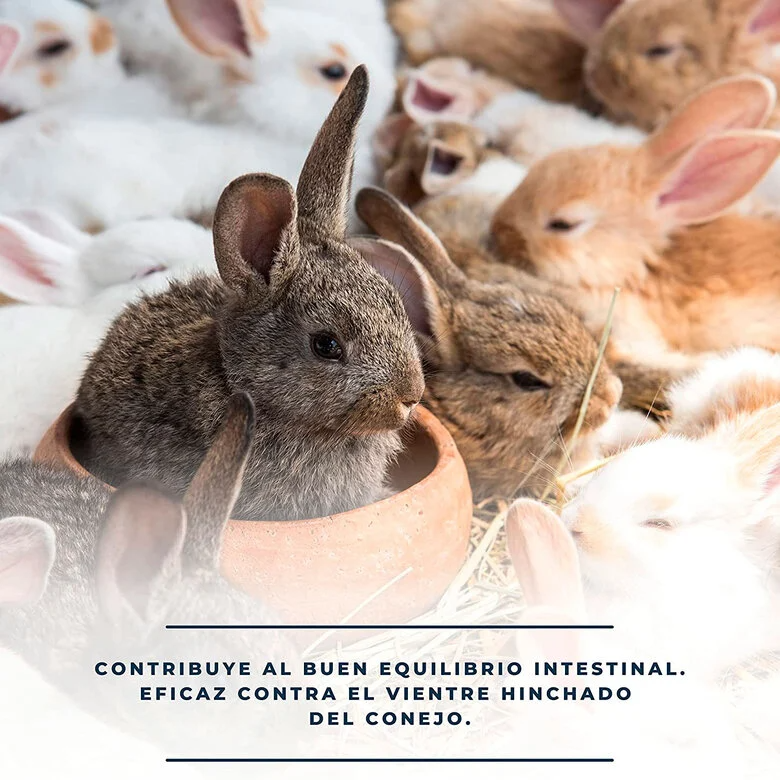 Finca casarejo cunidigest aliviador de vientre hinchado para conejos, , large Imagen numero 3
