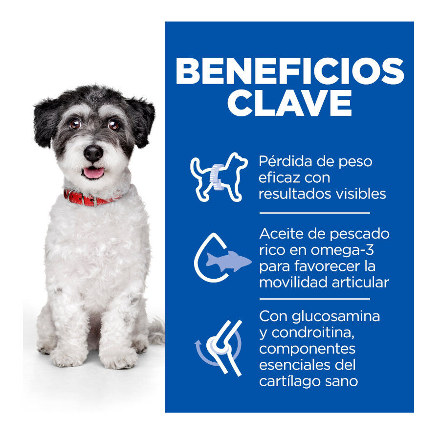 1.5 kg Hill's Science Plan Perfect Weight y Active Mobility Small y Mini Pollo pienso para perros, , large Imagen numero 3
