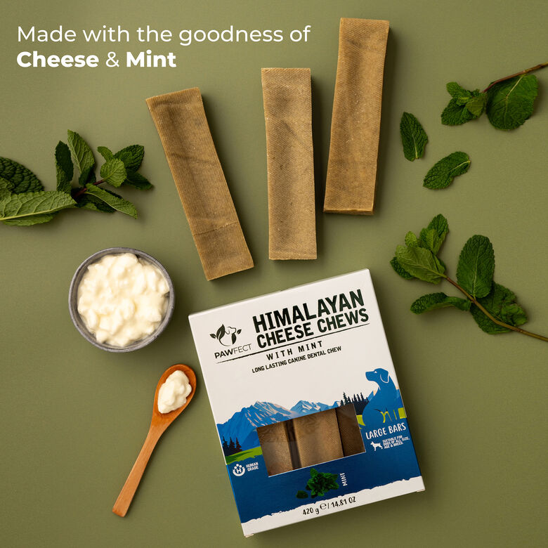 Pawfect Masticables dentales de queso del Himalaya, menta thumbnail