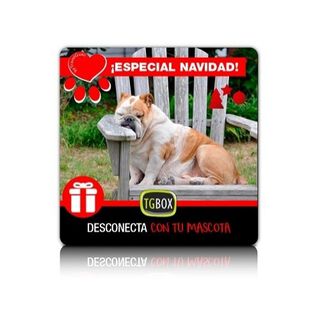 Tgbox desconecta con tu mascota especial Navidad