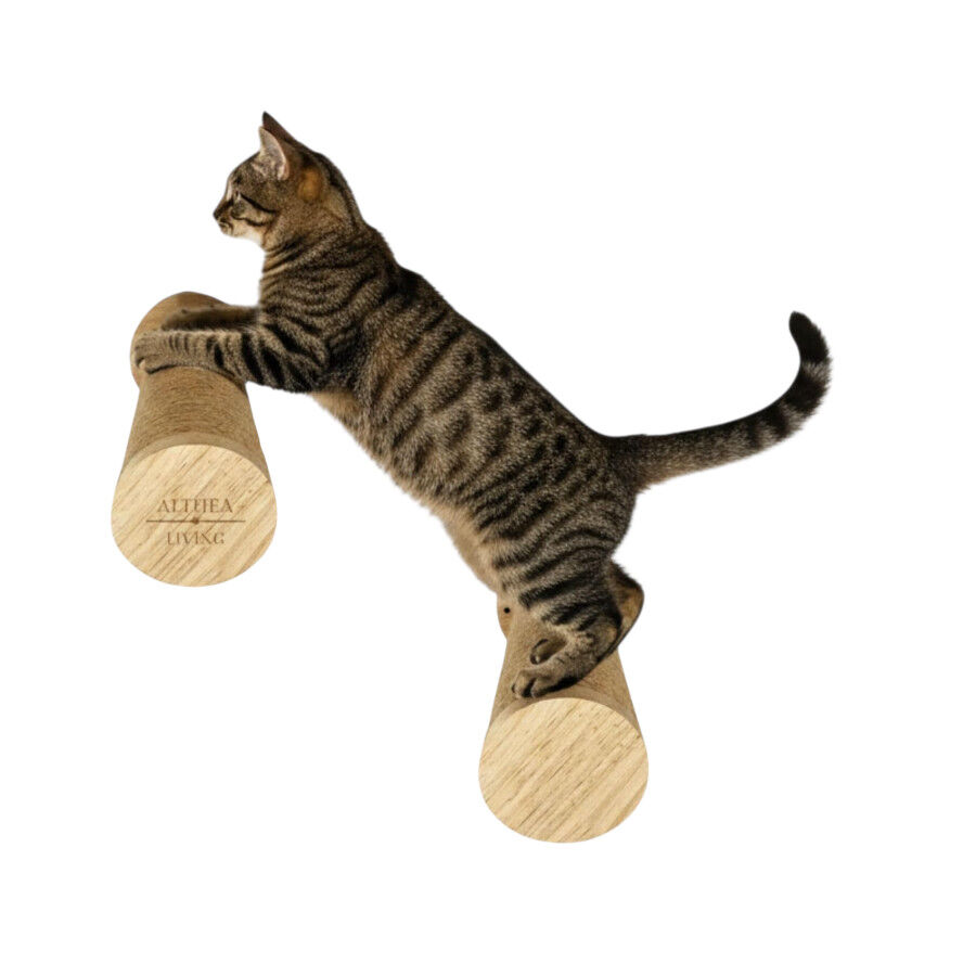 Althea Living - Estante de Escalada para Gatos Coral, set de 2 piezas, madera de roble y yute, , large Imagen numero 2