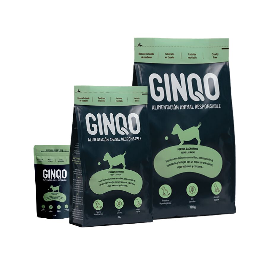GINQO PERROS CACHORROS: HYPOALERG&Eacute;NICO, GRAIN FREE Y SOSTENIBLE. HECHO CON PROTEINA DE INSECTOS, , large Imagen numero 1