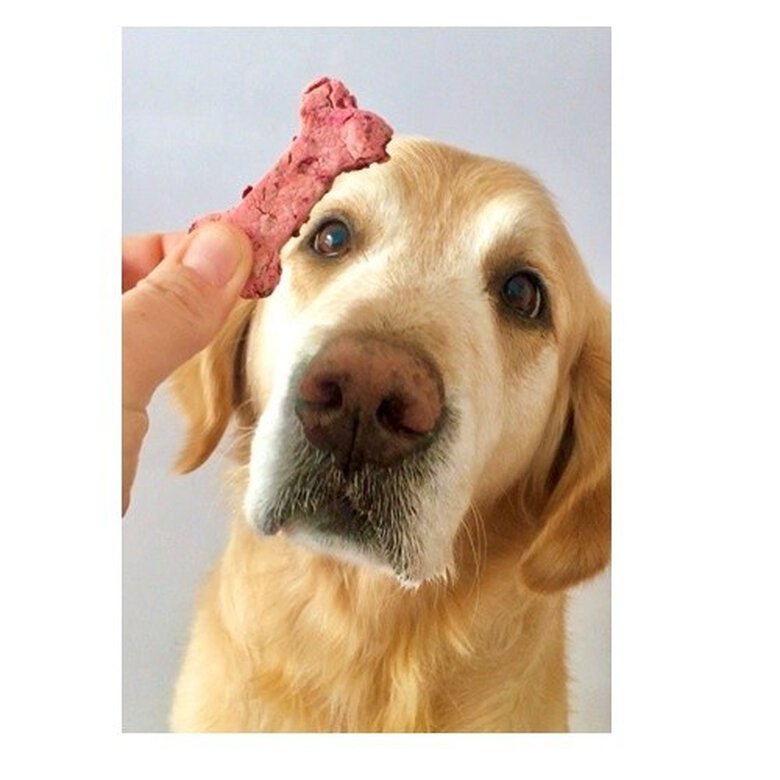 Loonypets kit repostería canina huesos zanahoria, , large image number null