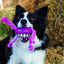 Rogz Flossy Grinz Juguete Rosa para perros, , large indicador imagen numero 3