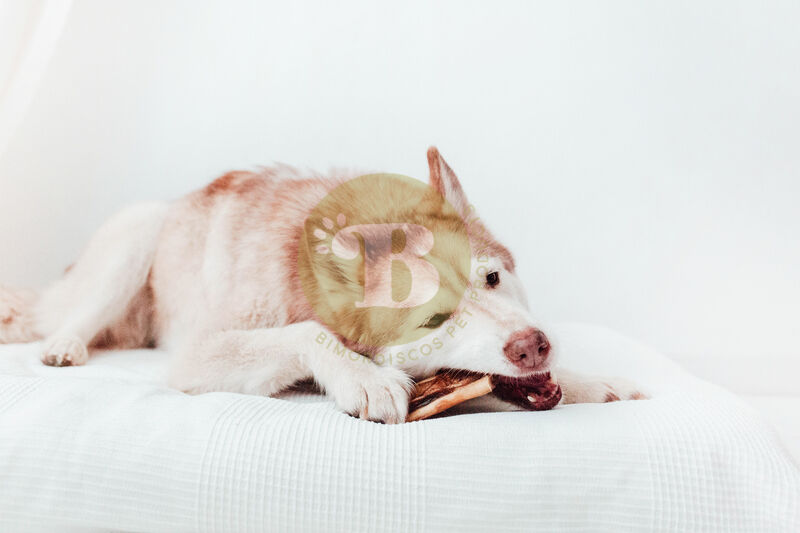 BIMORDISCOS PACK Snacks Naturales de Ternera para Perros thumbnail