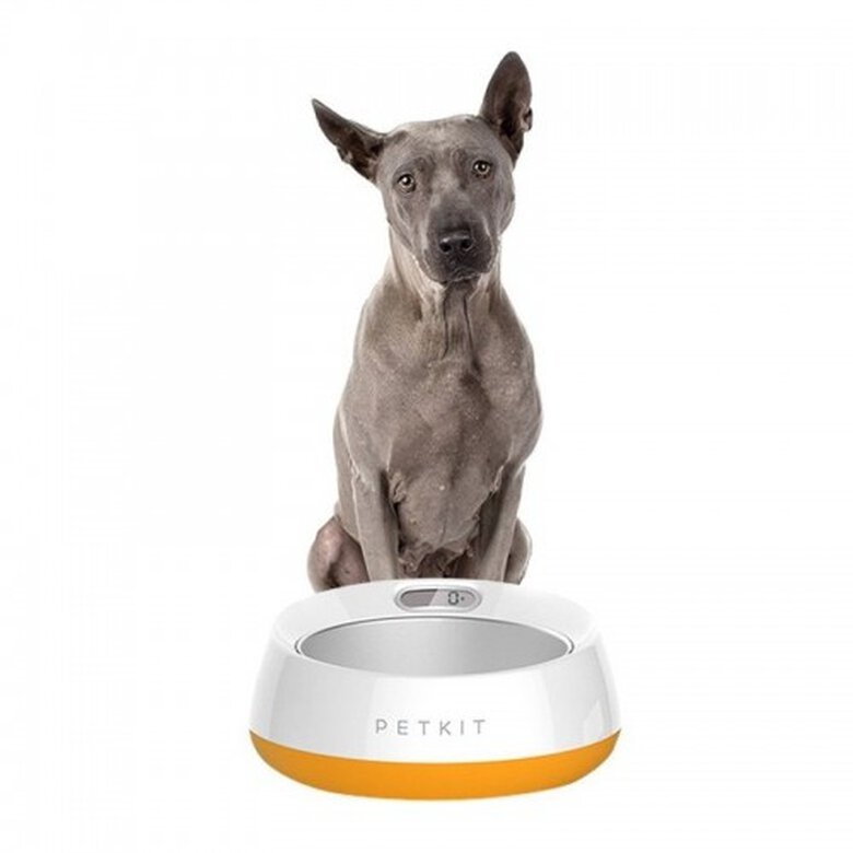 Petkit comedero inteligente con balanza integrada para perros, , large image number null