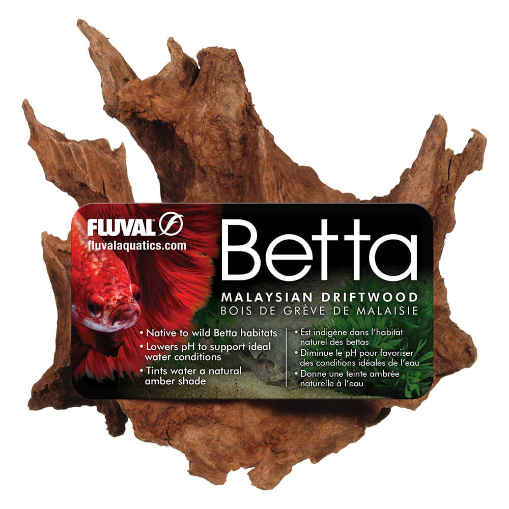 Fluval Betta Planta Madagascar Lace Plant 15cm, , large Imagen numero 1