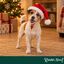 Wonder Christmas Gorro Papa Noel para perros, , large indicador imagen numero 2